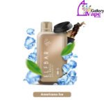 Elf Bar Disposable 10000 Puffs Vape Available in Uae - Image 2