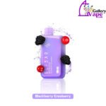 Elf Bar Disposable 10000 Puffs Vape Available in Uae - Image 4