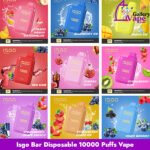 Isgo Bar Disposable 10000 Puffs Vape Available in Uae