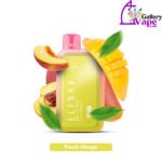 Elf Bar Disposable 10000 Puffs Vape Available in Uae - Image 16