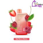 Elf Bar Disposable 10000 Puffs Vape Available in Uae - Image 18