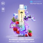 HAYATI Pro Max Disposable 4000 Plus Puffs Vape Available in Uae - Image 3