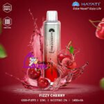 HAYATI Pro Max Disposable 4000 Plus Puffs Vape Available in Uae - Image 7