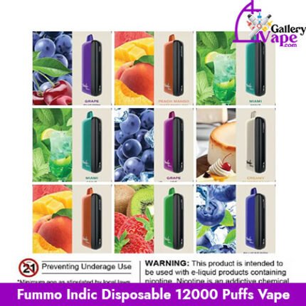 Fummo Indic Disposable 12000 Puffs Vape Available in Uae