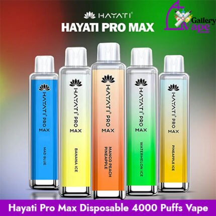 HAYATI Pro Max Disposable 4000 Plus Puffs Vape Available in Uae