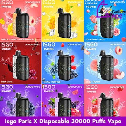 Isgo Paris X Disposable 30000 Puffs Vape Available in Uae