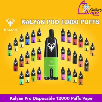 Kalyan Pro Disposable 12000 Puffs Vape Available in Uae