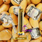 Pod Salt Onyx Disposable 4000 Puffs Vape Available in Uae - Image 9