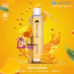 HAYATI Pro Max Disposable 4000 Plus Puffs Vape Available in Uae - Image 19