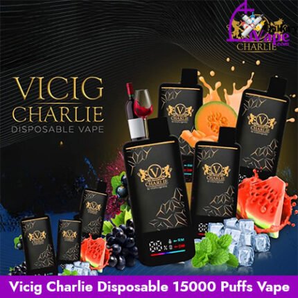 Vicig Charlie Disposable 15000 Puffs Vape Available in Uae