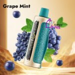 Oxbar Shisha 60000 Puffs 0.6MG Disposable Vape Available in Uae - Image 3