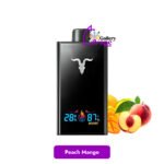 IGNITE V300 30000 Puffs Disposable Vape Available in Uae - Image 8